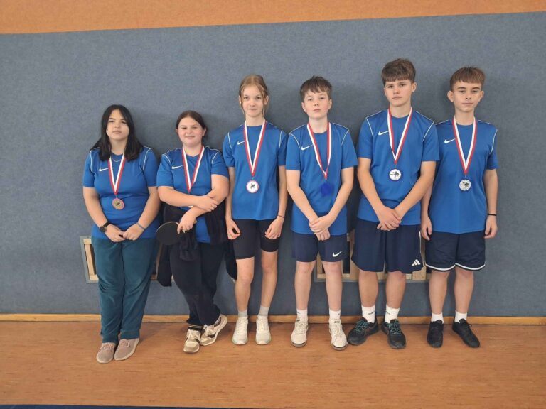 Mistrzostwo i wicemistrzostwo w Mistrzostwach Szkół Powiatu Pyrzyckiego w ramach IMS